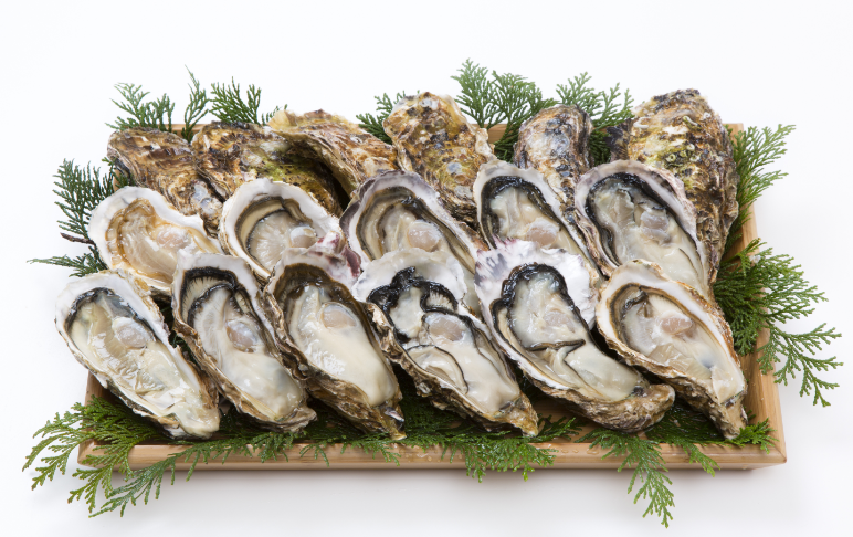 行橋産 一粒牡蠣