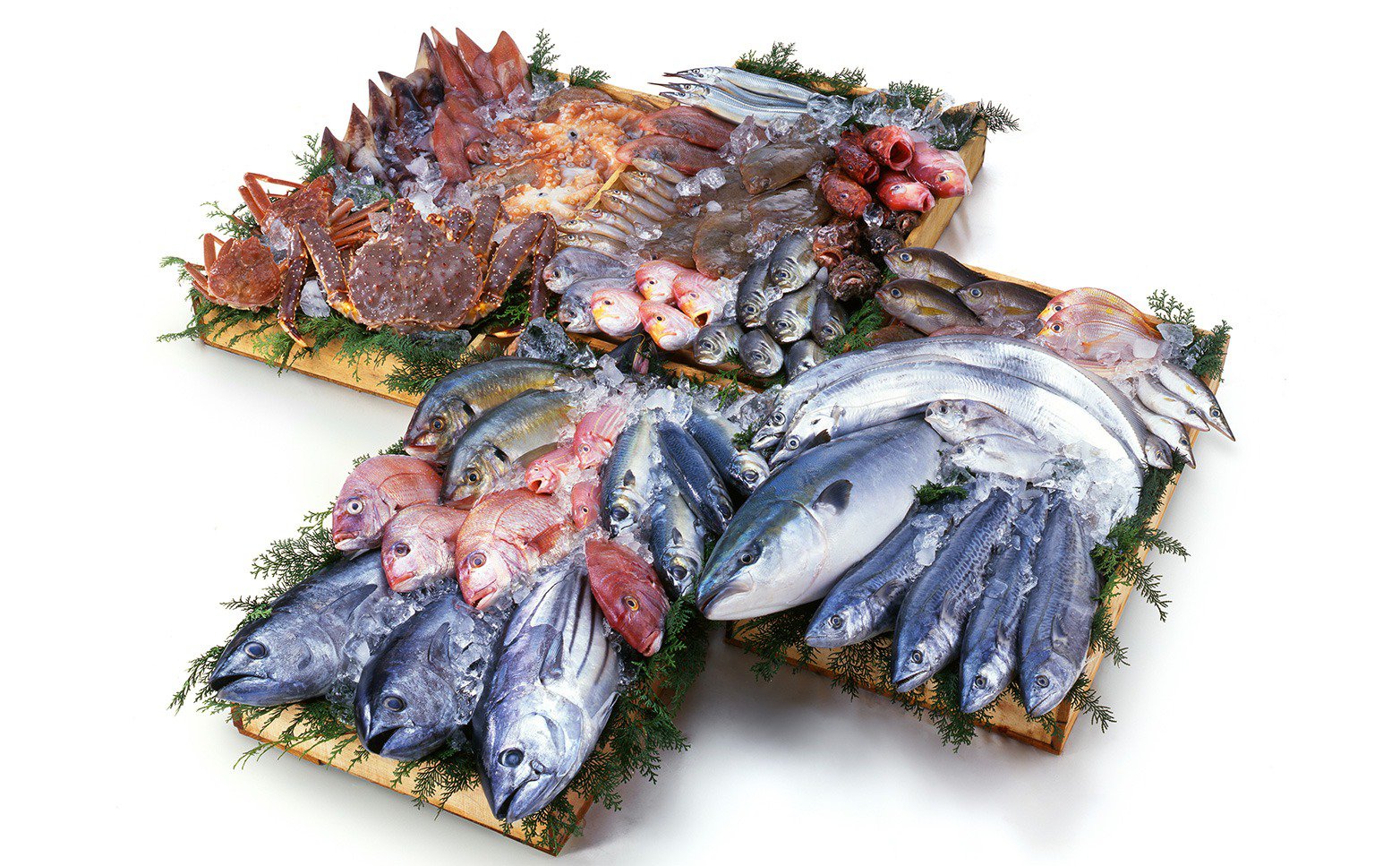 各種 行橋産 鮮魚・海産物