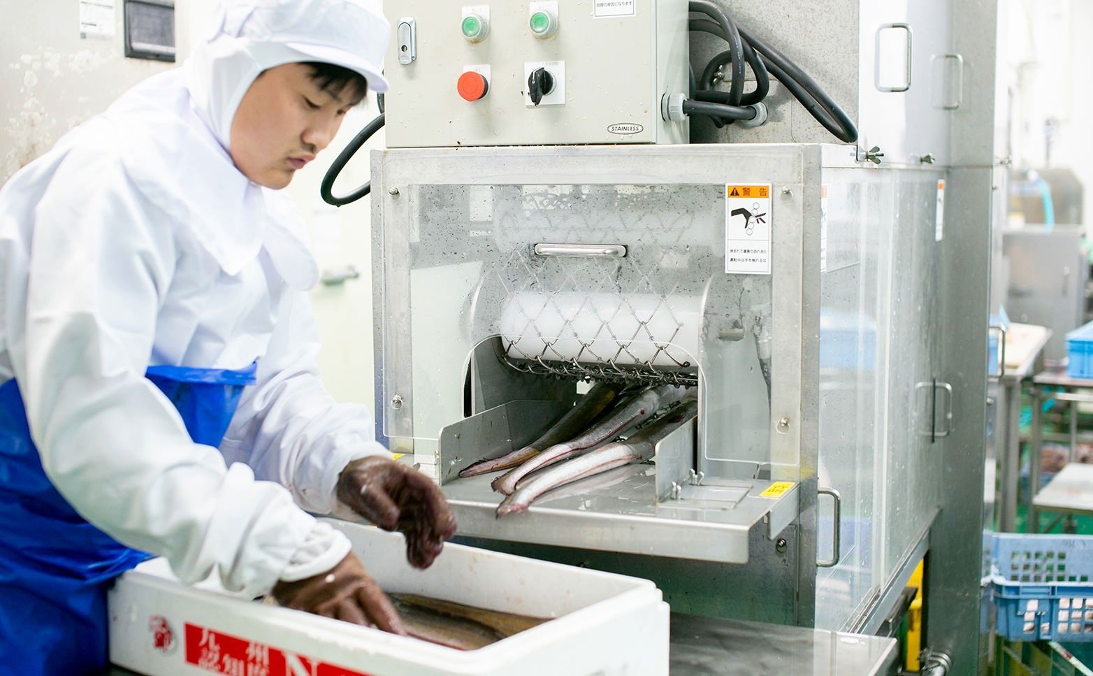 最新鋭の水圧式自動ウロコ取り機でヌメリをとります